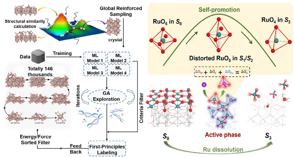 【创新前沿】《美国化学会志》报道我校机器学习势函数在催化剂动态演化研究方面的新进展
