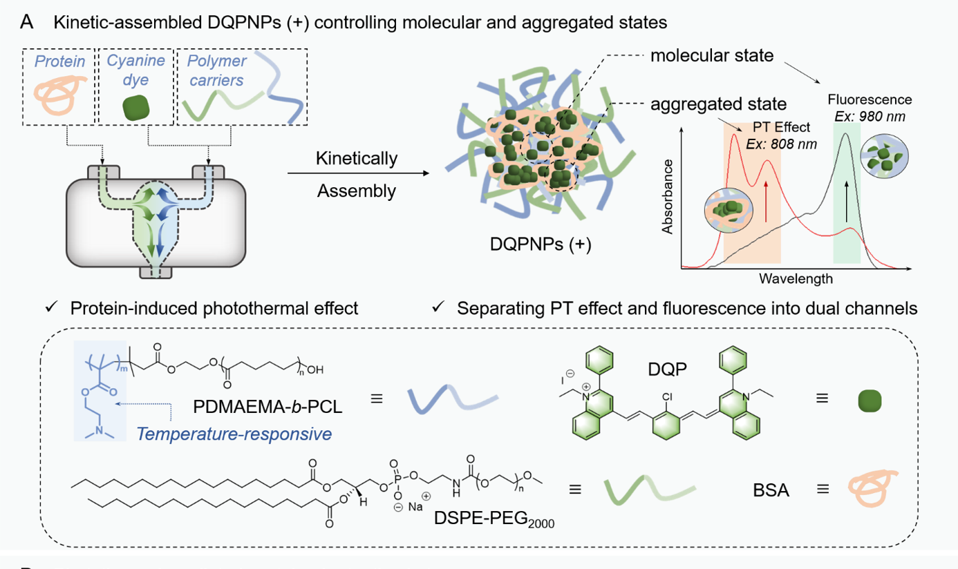 New Progress in Precise Regulation of NIR-II Cyanine Aggregated States from ECUST Published in Science Advances