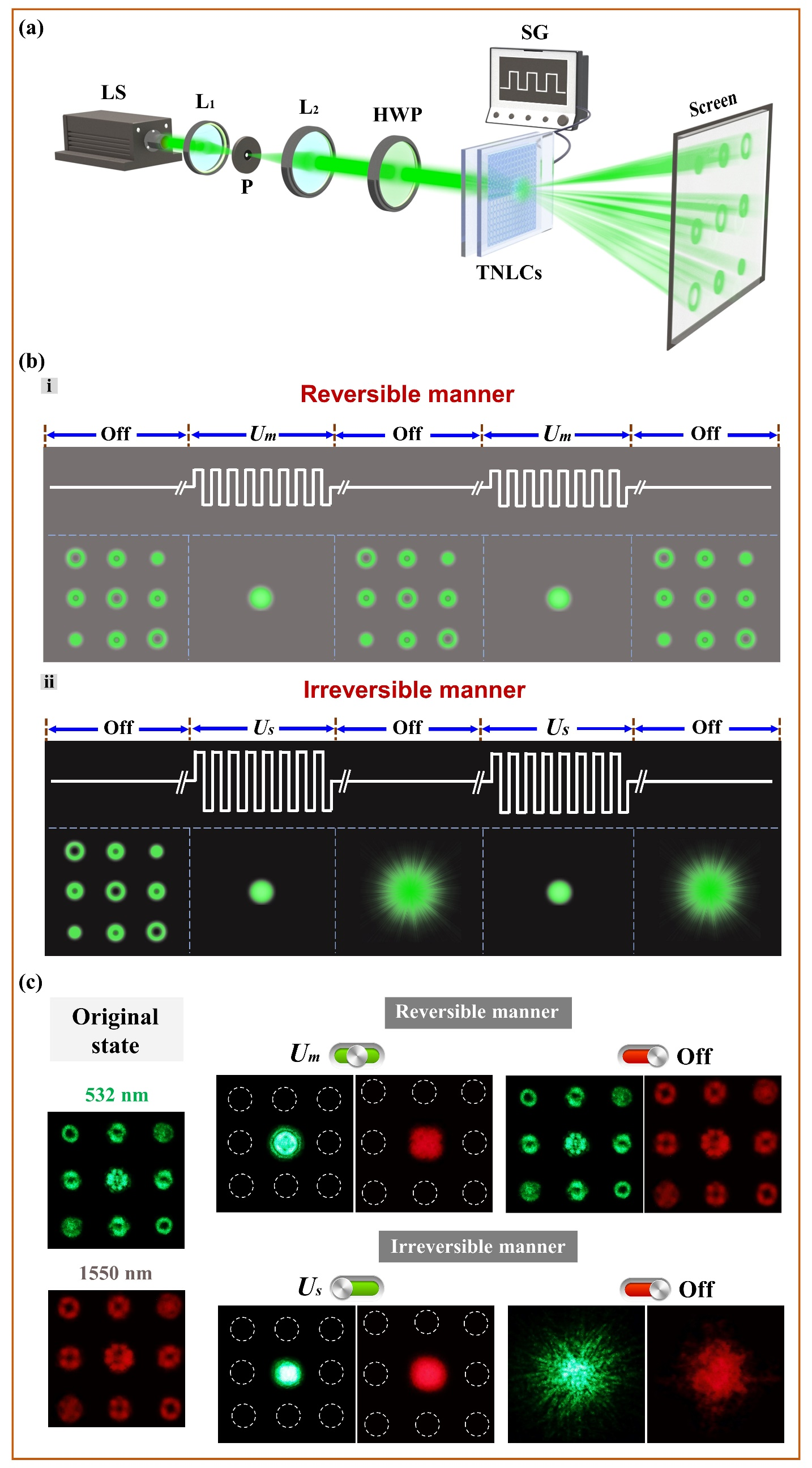 【创新前沿】Laser & Photonics Reviews报道我校在超宽波段涡旋矢量光场调控领域的最新进展