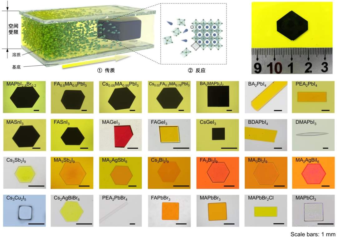 图片1.jpg?x-oss-process=style/w10