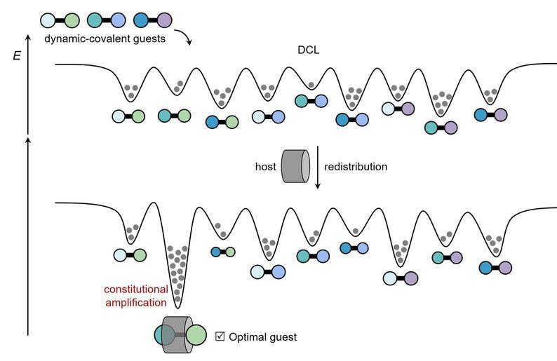 New Progress in Dynamic Combinatorial Chemistry from ECUST Published in Angewandte Chemie International Edition