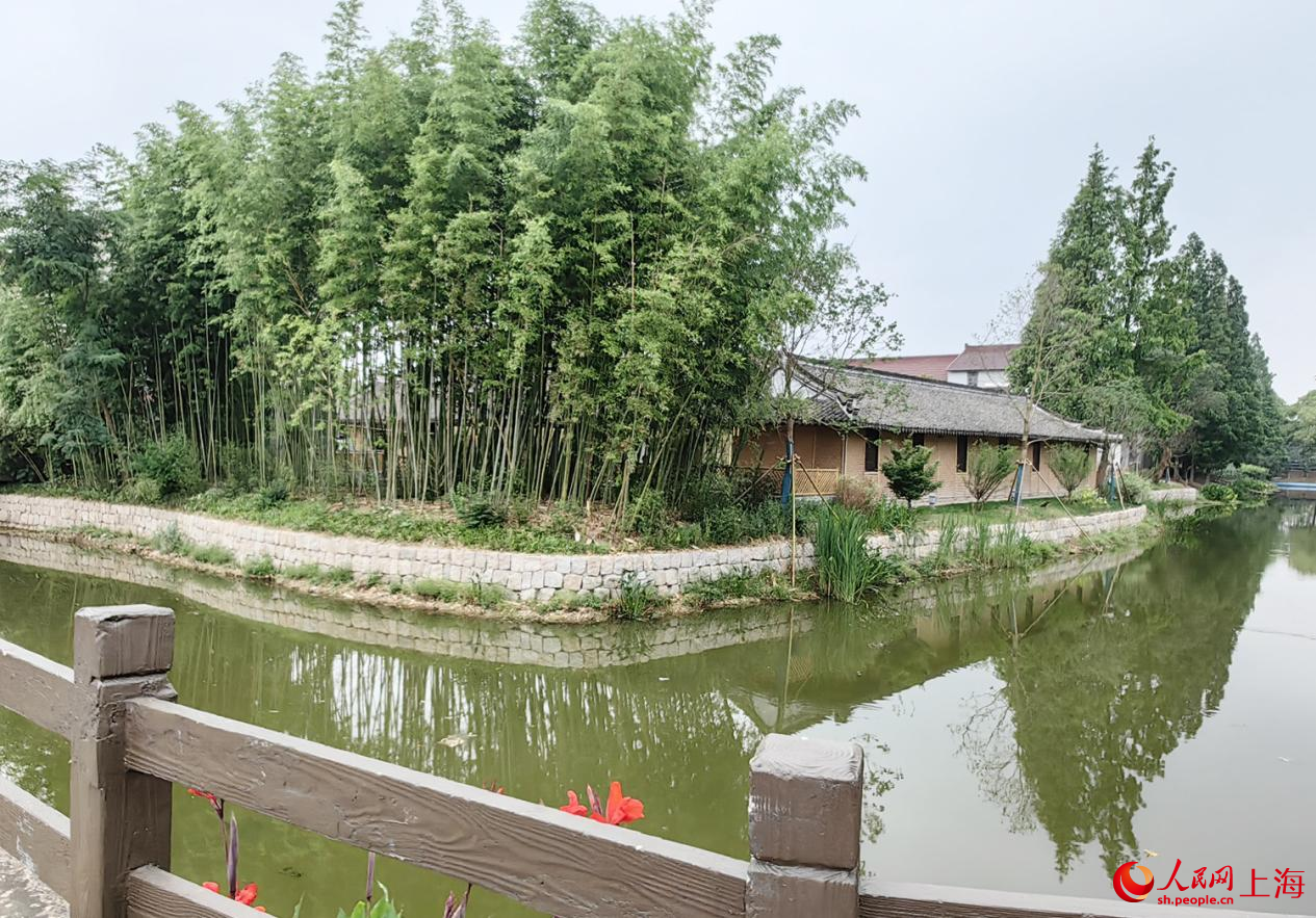 推行积分制后的周浦镇旗杆村一隅。人民网记者 唐小丽摄